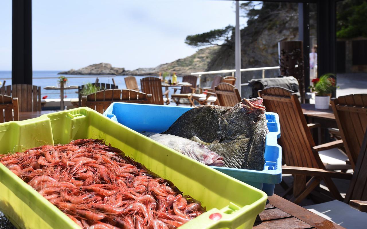 Hotel Sa Tuna Begur Kültér fotó